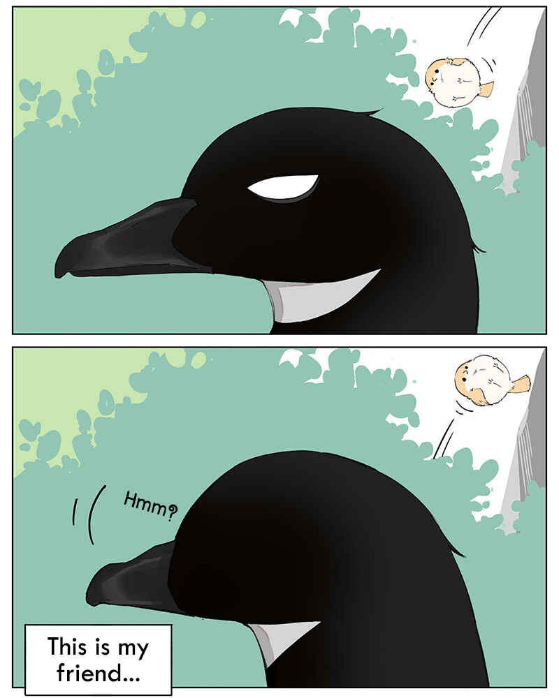 Southern Bird and Northern Bird Chapter 46 - Page 2