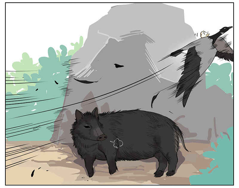 Southern Bird and Northern Bird Chapter 46 - Page 6