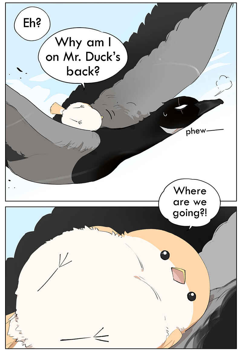 Southern Bird and Northern Bird Chapter 46 - Page 7