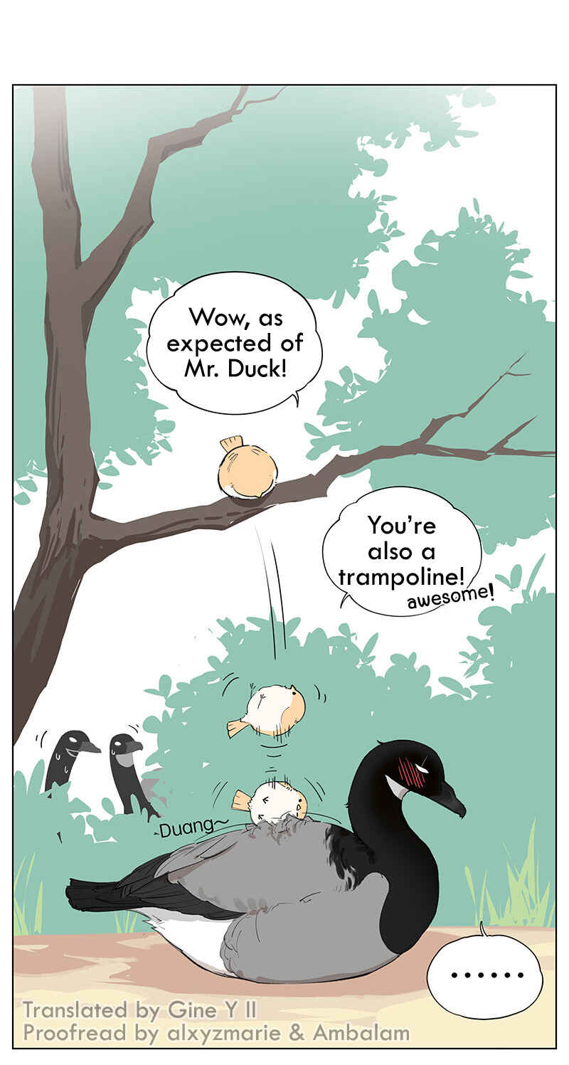 Southern Bird and Northern Bird Chapter 46 - Page 9