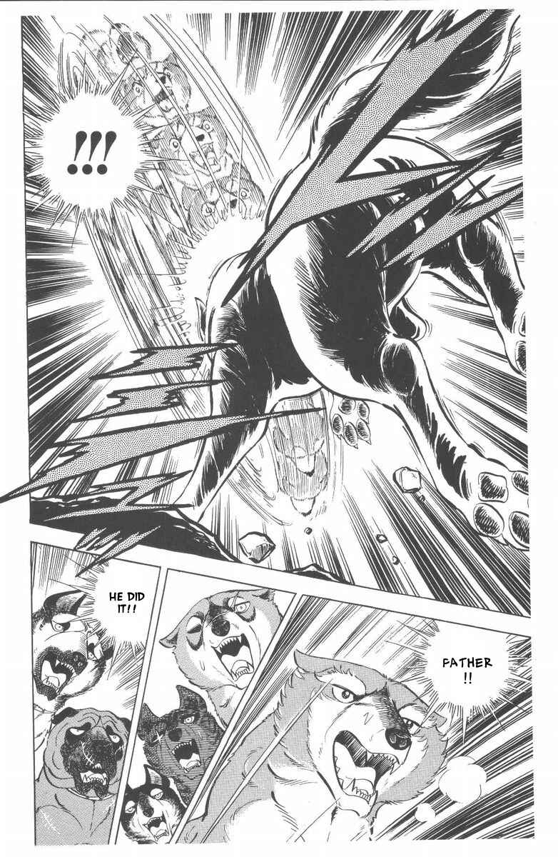 Silver Fang – The Shooting Star Gin – Chapter 47 - Page 23