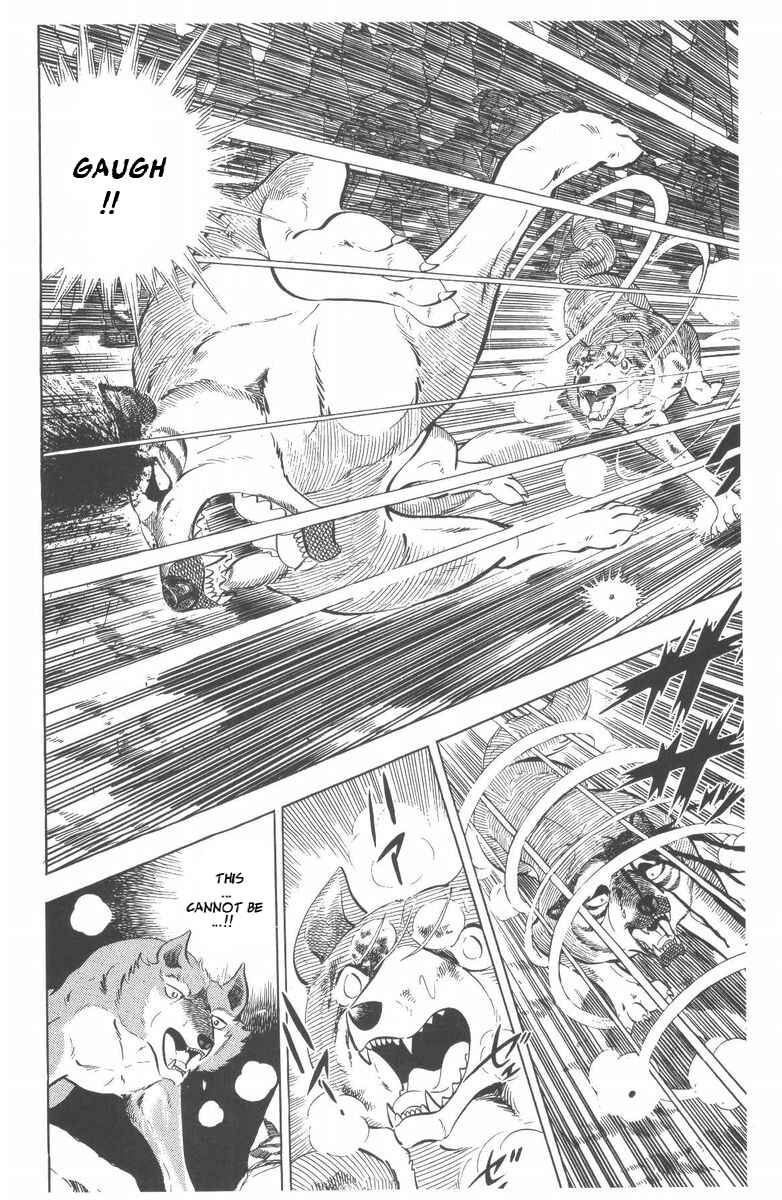Silver Fang – The Shooting Star Gin – Chapter 47 - Page 33