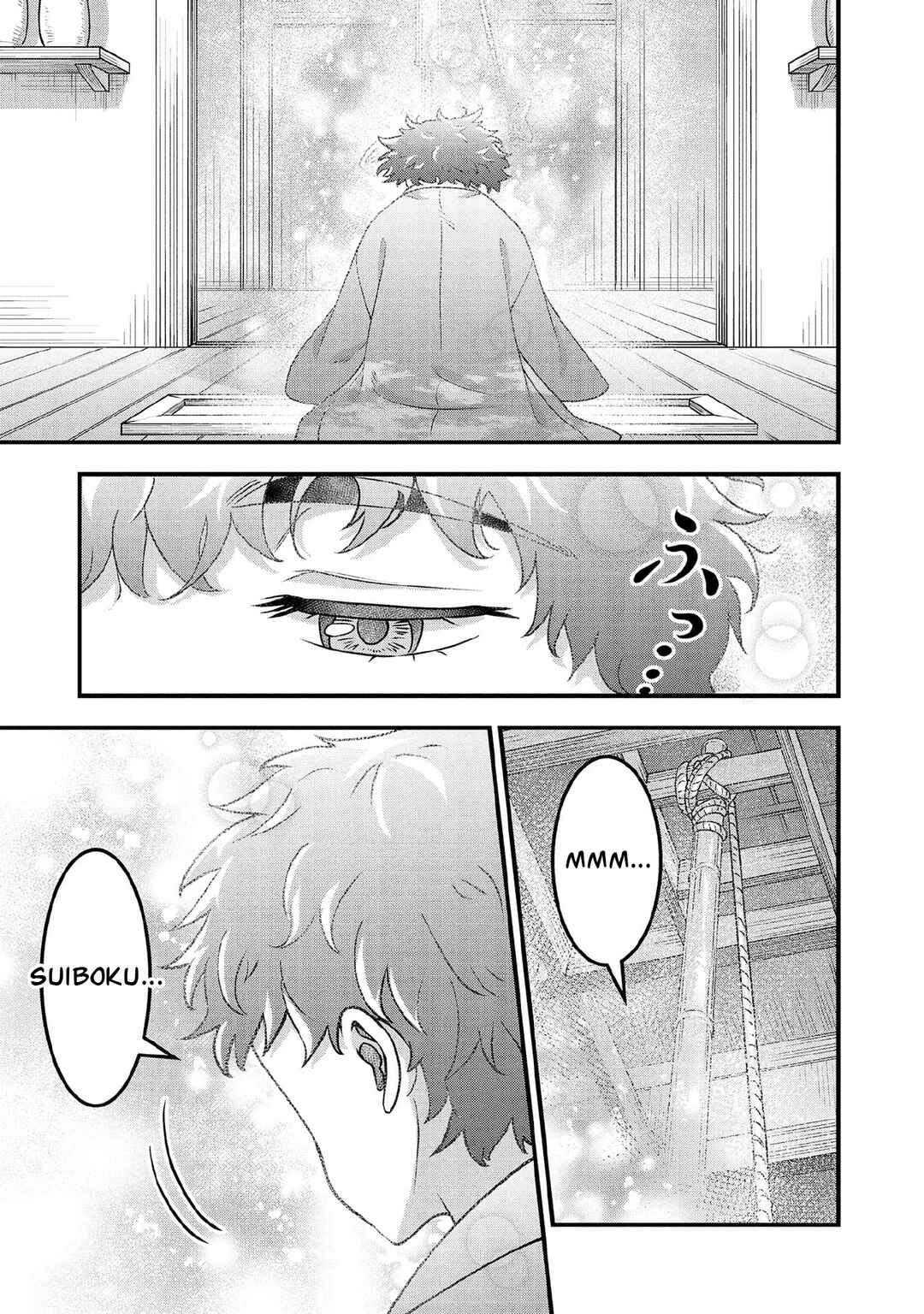 Jimi na Kensei wa Sore Demo Saikyou desu Chapter 100 - Page 14