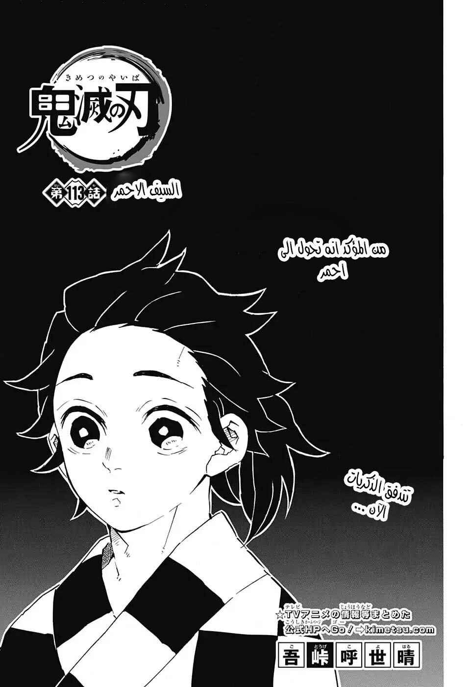 Demon Slayer: Kimetsu no Yaiba Chapter 113 - Page 2