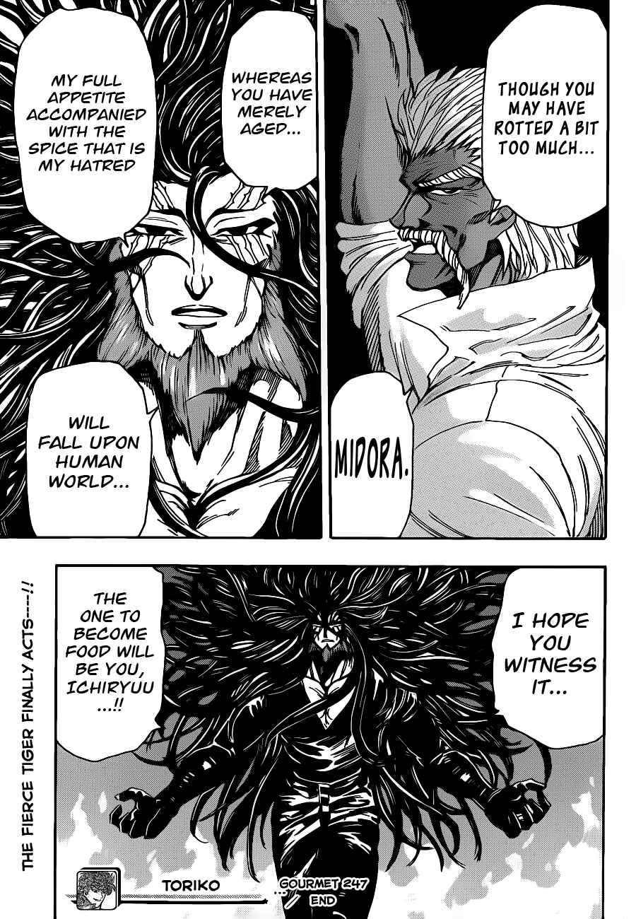 TORIKO Chapter 247 - Page 17