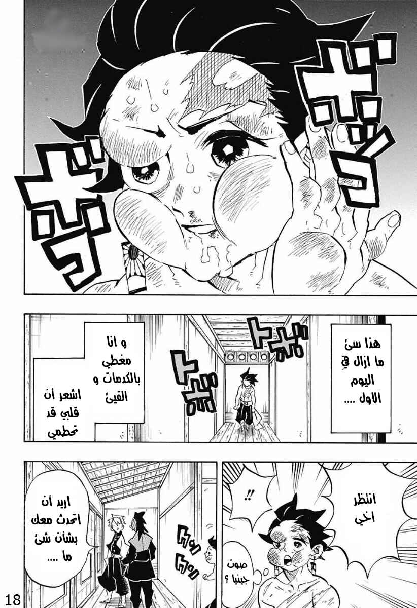 Demon Slayer: Kimetsu no Yaiba Chapter 132 - Page 18