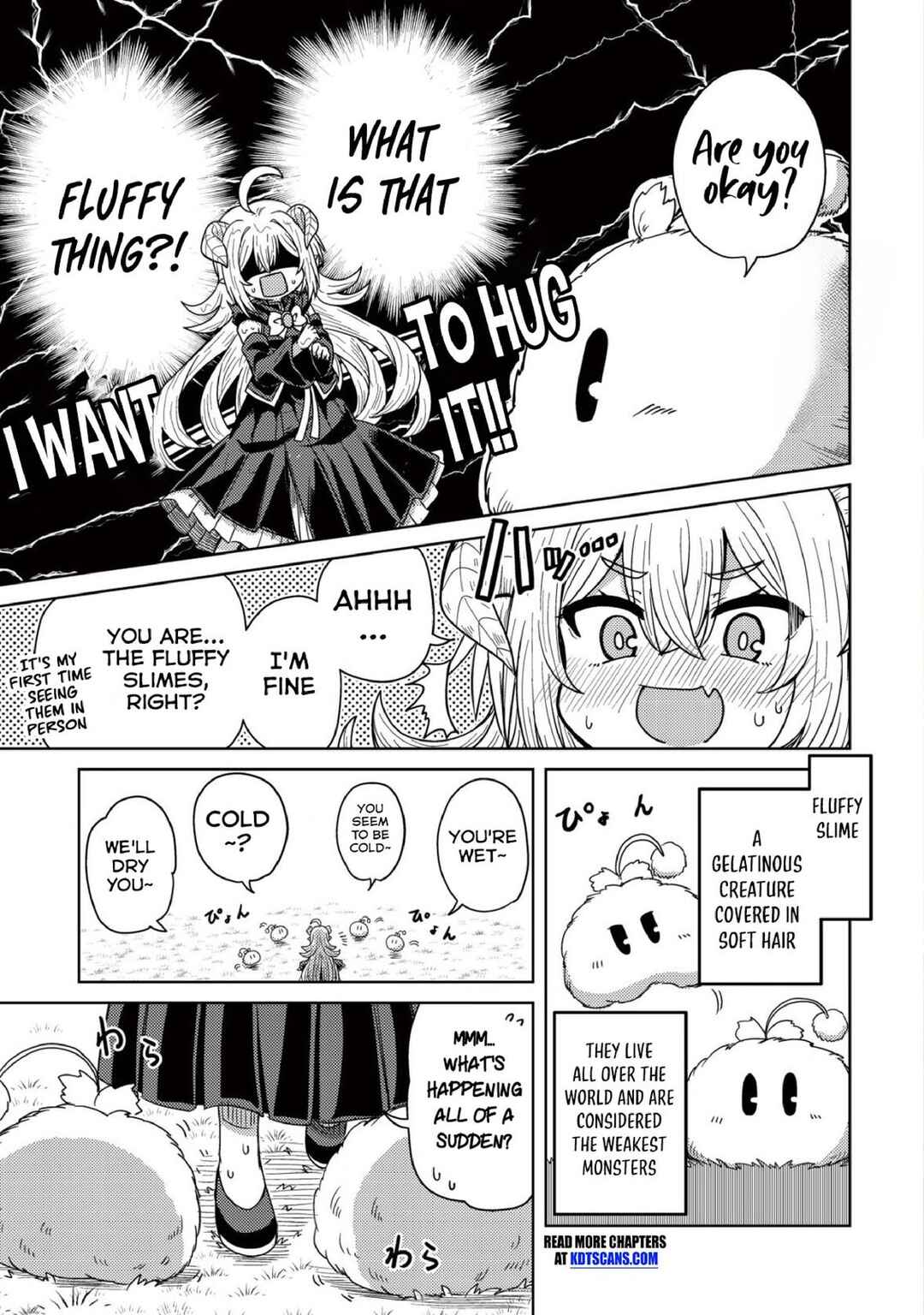 Moto Maou-sama no Nangoku Slow Life - Buka ni Uragirareta node, Mofumofu-tachi to Tanoshiku Slow Life suru no ja Chapter 2 - Page 3