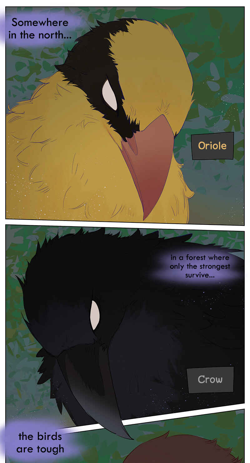 Southern Bird and Northern Bird Chapter 45 - Page 1