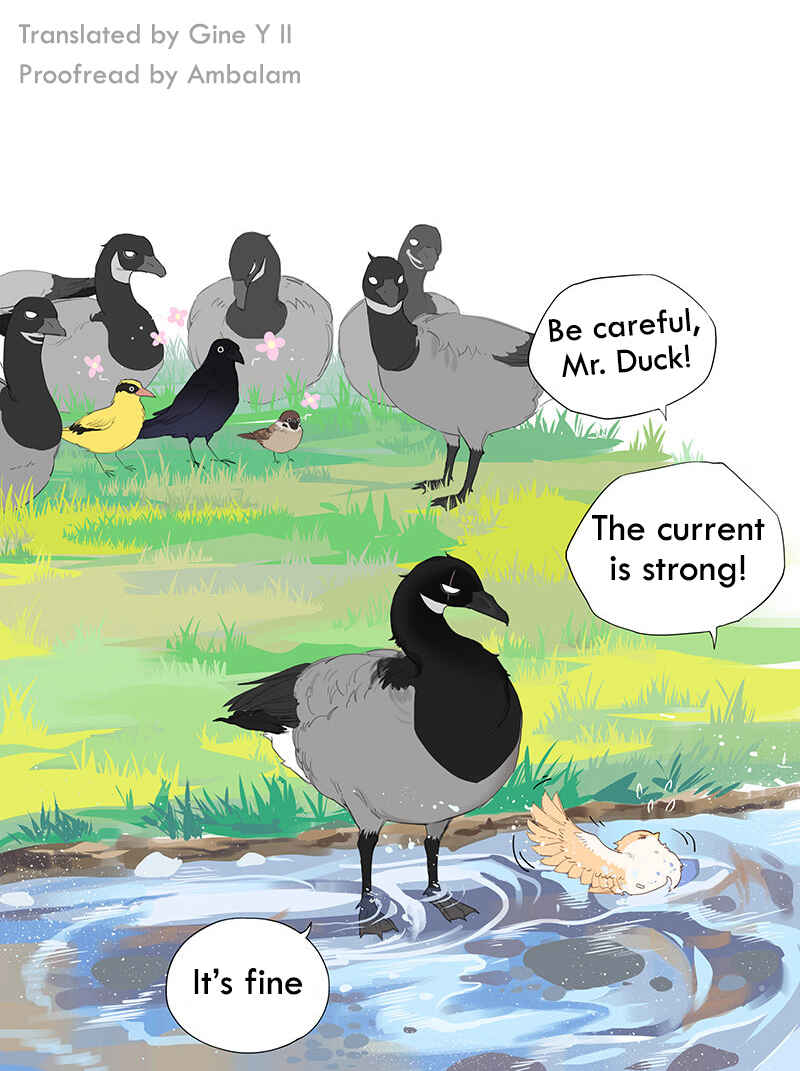 Southern Bird and Northern Bird Chapter 45 - Page 8