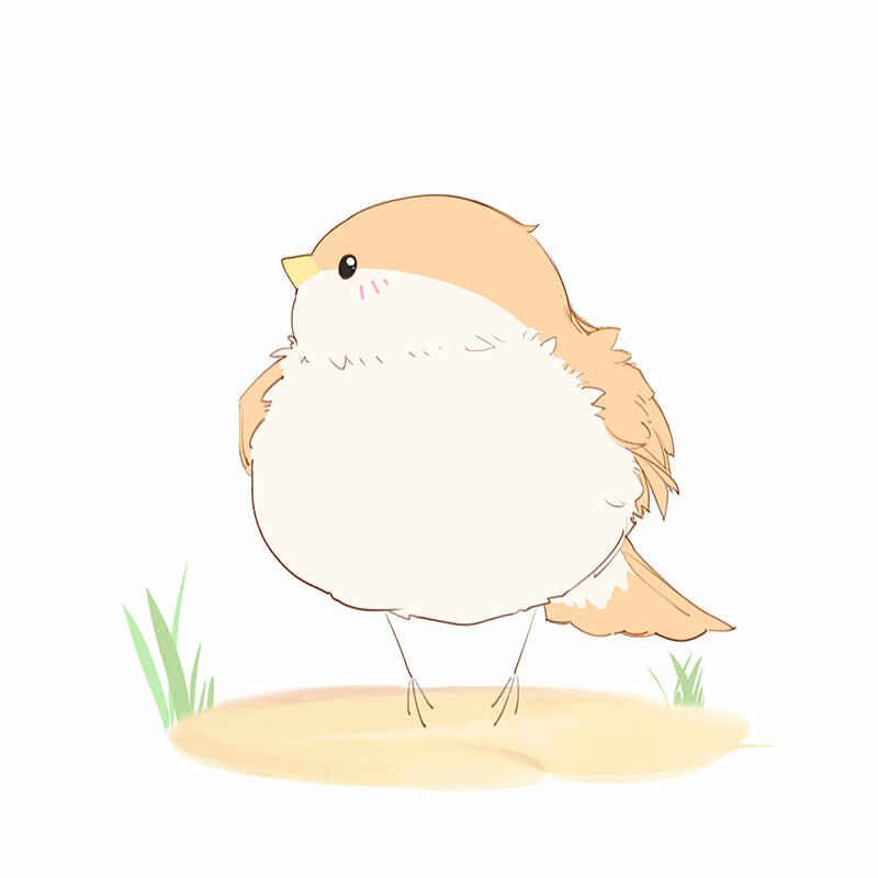 Southern Bird and Northern Bird Chapter 45 - Page 9