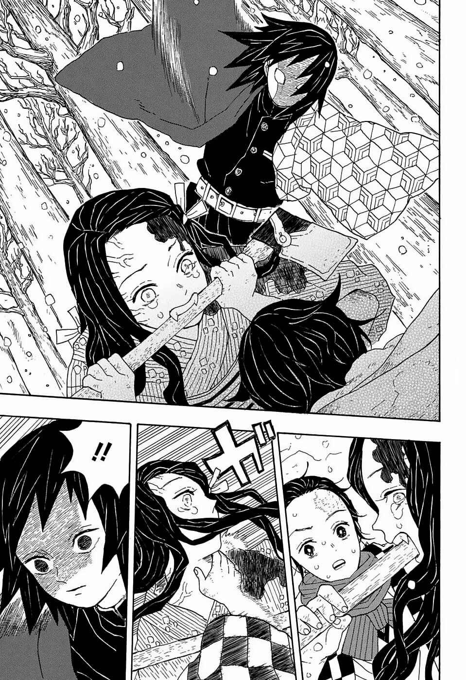Demon Slayer: Kimetsu no Yaiba Chapter 1 - Page 24