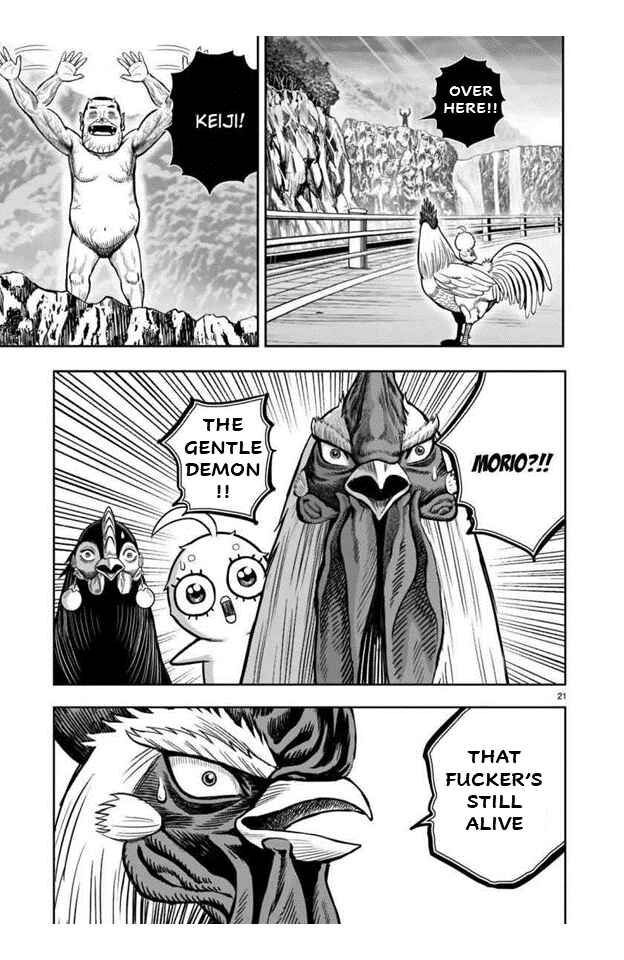Niwatori Fighter Chapter 16 - Page 21