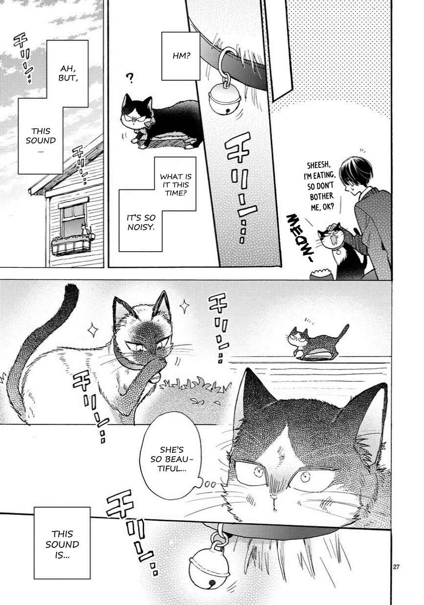 Doukyonin wa Hiza, Tokidoki, Atama no Ue. Chapter 6.5 - Page 8