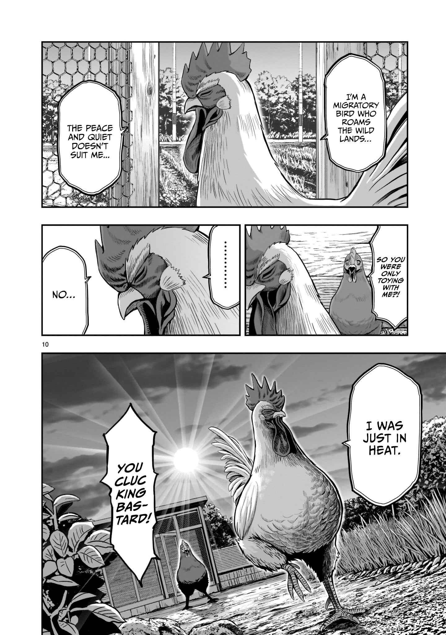 Niwatori Fighter Chapter 1 - Page 11