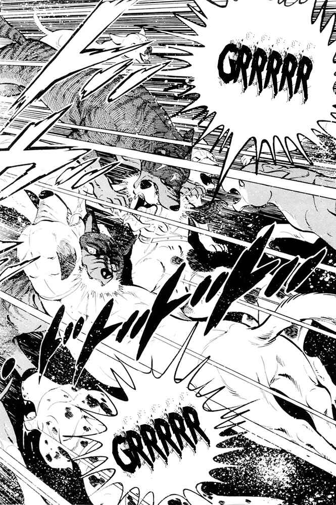 Silver Fang – The Shooting Star Gin – Chapter 17 - Page 25