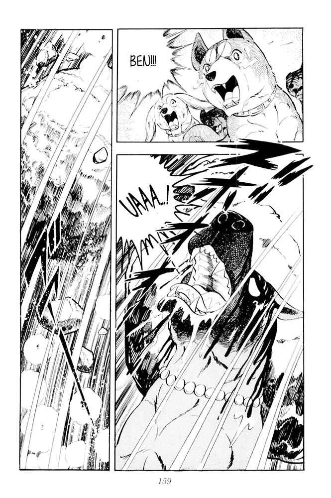 Silver Fang – The Shooting Star Gin – Chapter 17 - Page 51