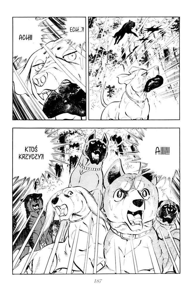 Silver Fang – The Shooting Star Gin – Chapter 17 - Page 79