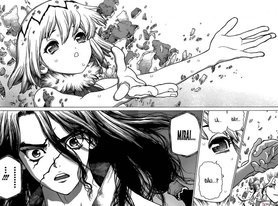 Dr.STONE Chapter 79 - Page 4
