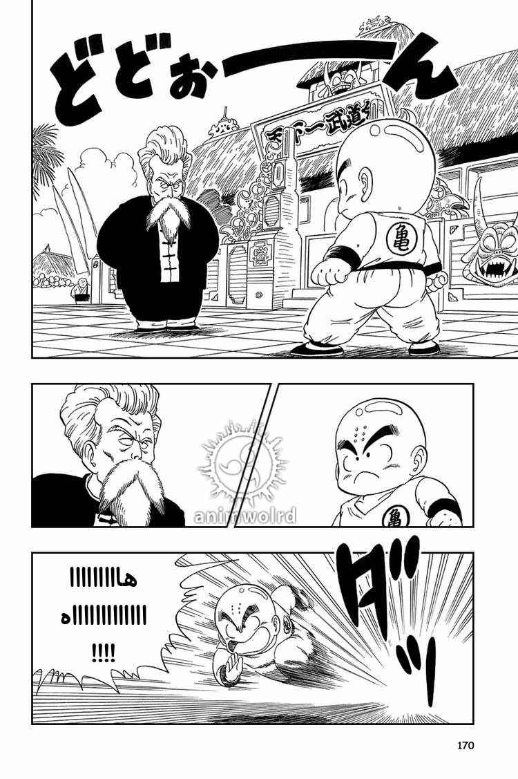 Dragon Ball Chapter 41 - Page 11