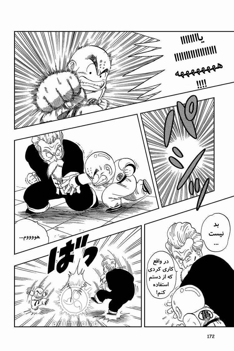 Dragon Ball Chapter 41 - Page 13