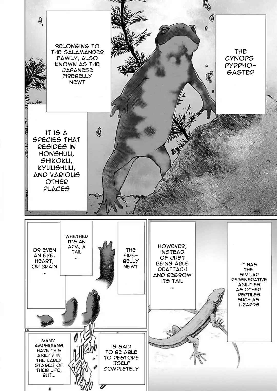 Killing Bites Chapter 46 - Page 17