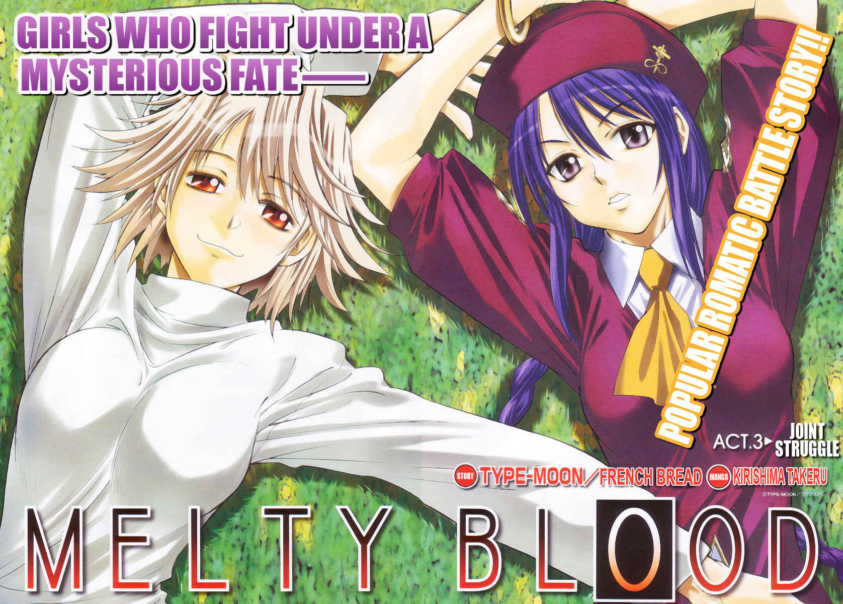 Melty Blood Chapter 3 - Page 4