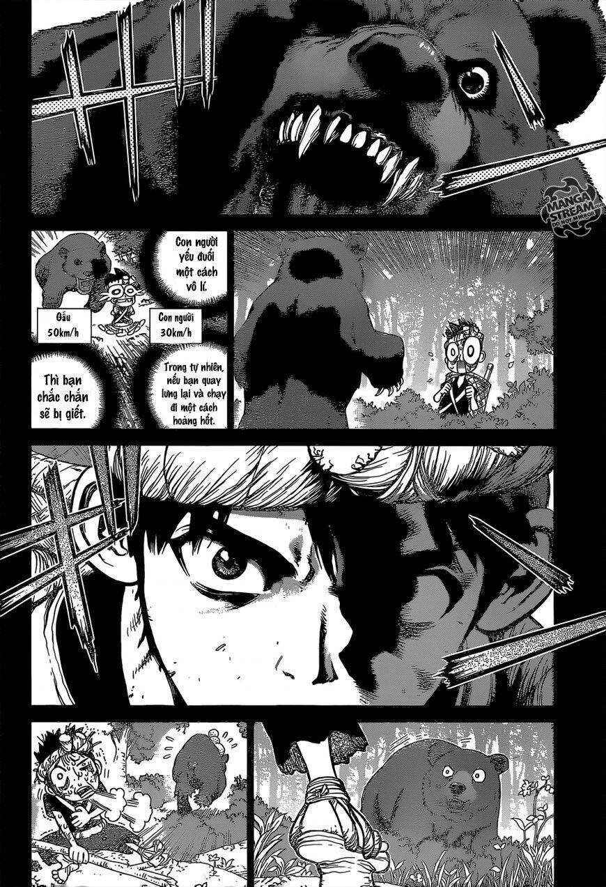 Dr.STONE Chapter 89 - Page 13