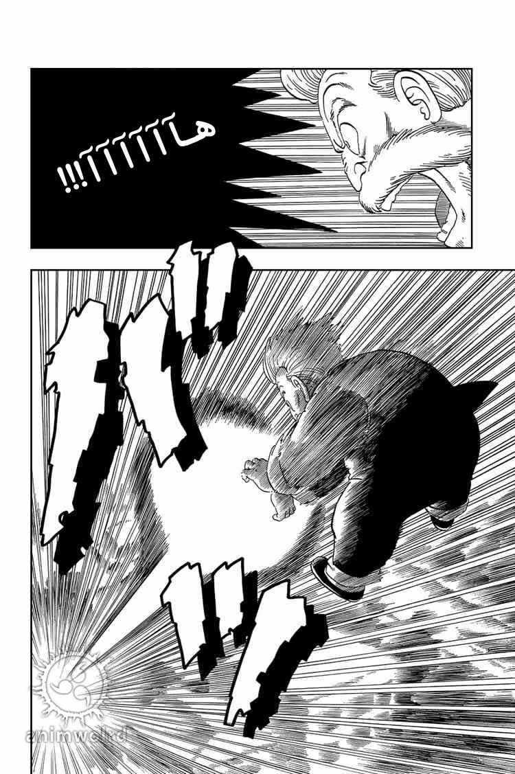 Dragon Ball Chapter 43 - Page 3