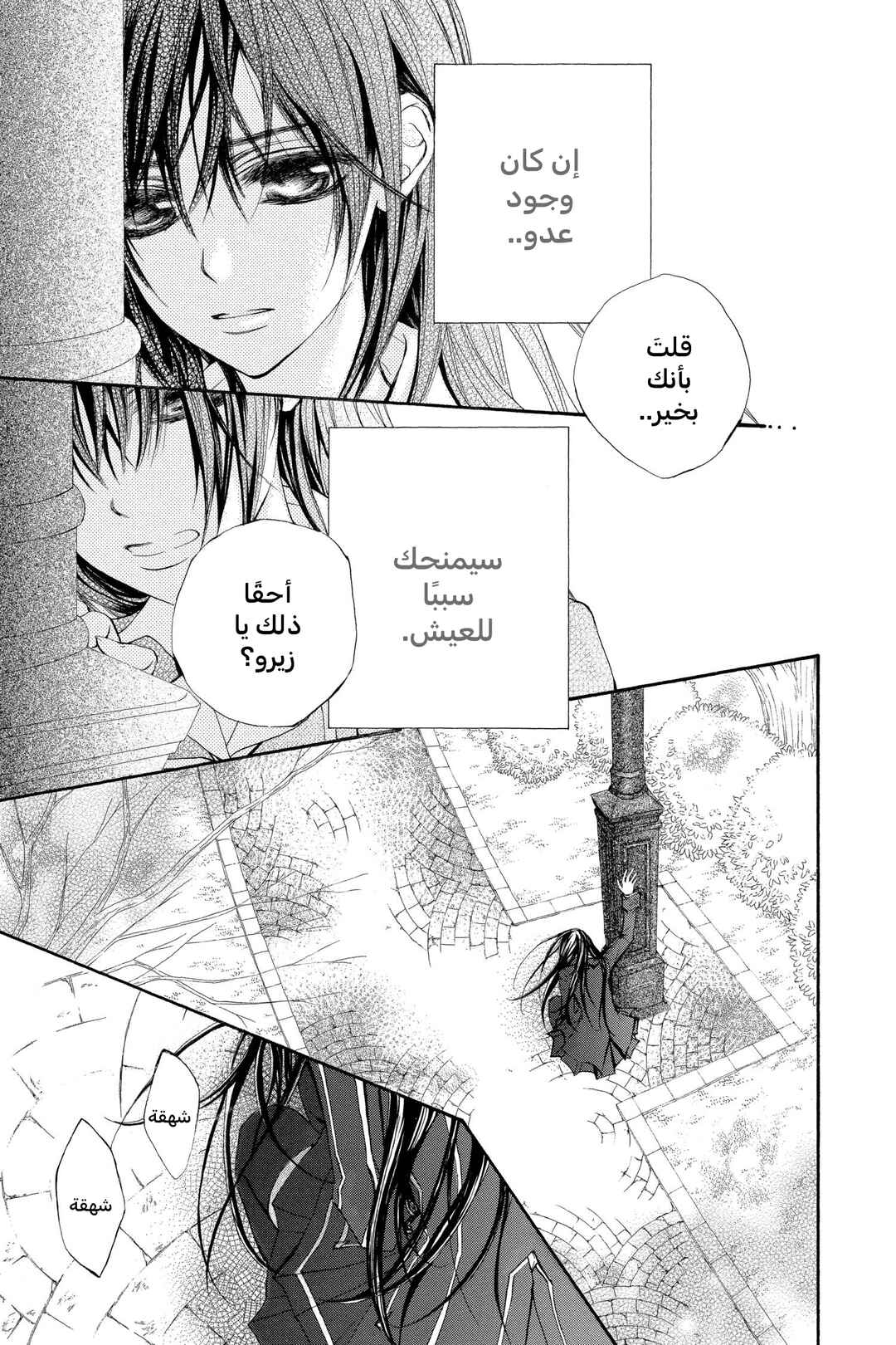Vampire Knight Chapter 47 - Page 3