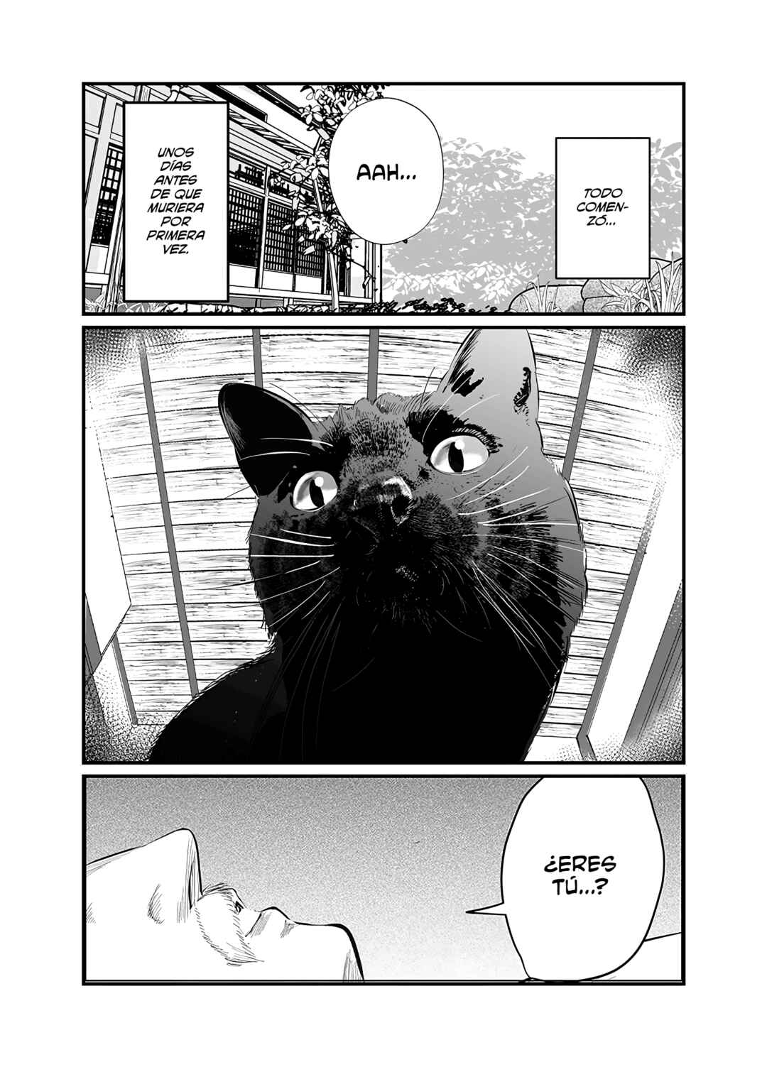 Black Cat Jiumin Chapter 1 - Page 1
