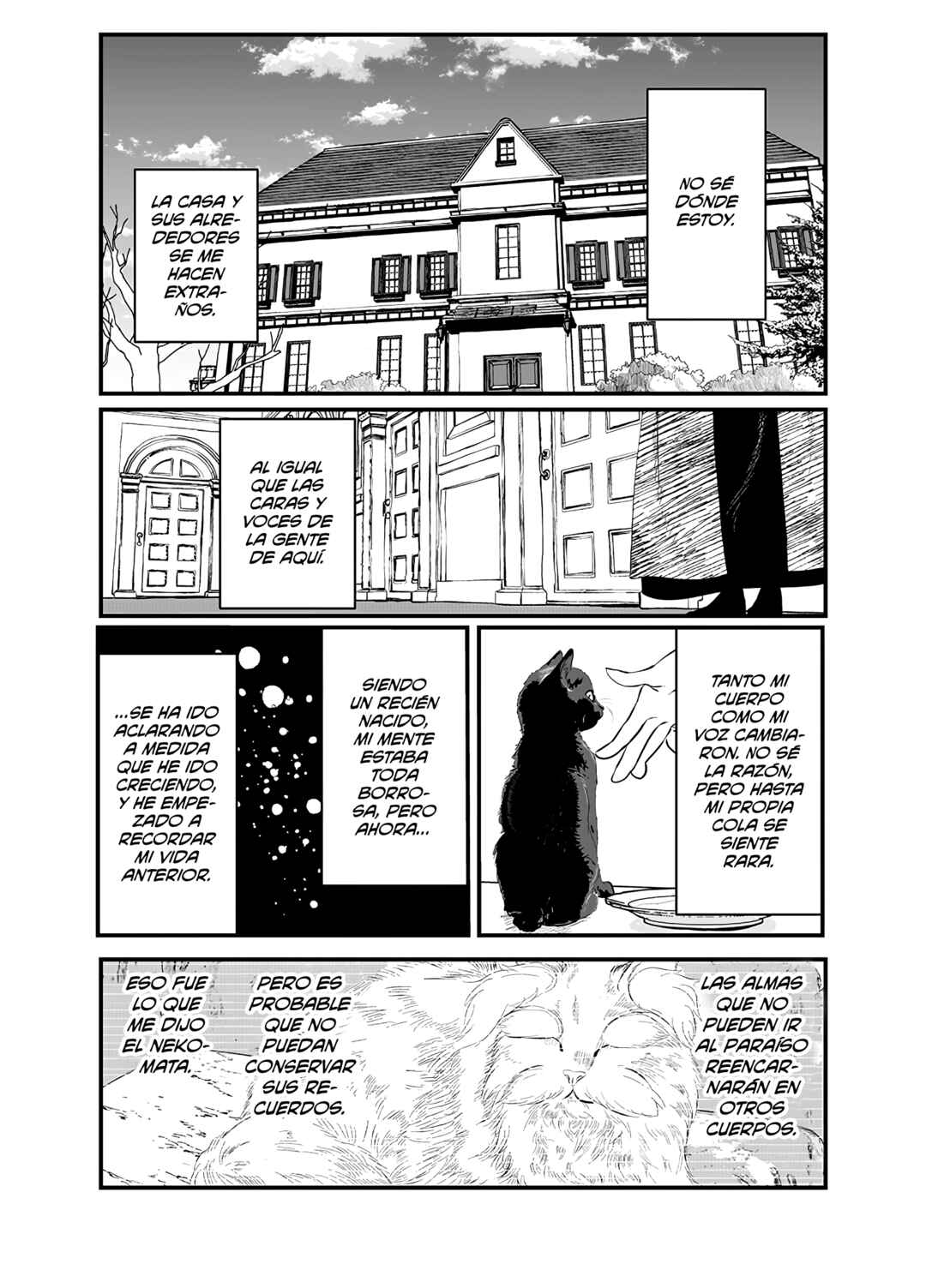 Black Cat Jiumin Chapter 1 - Page 14