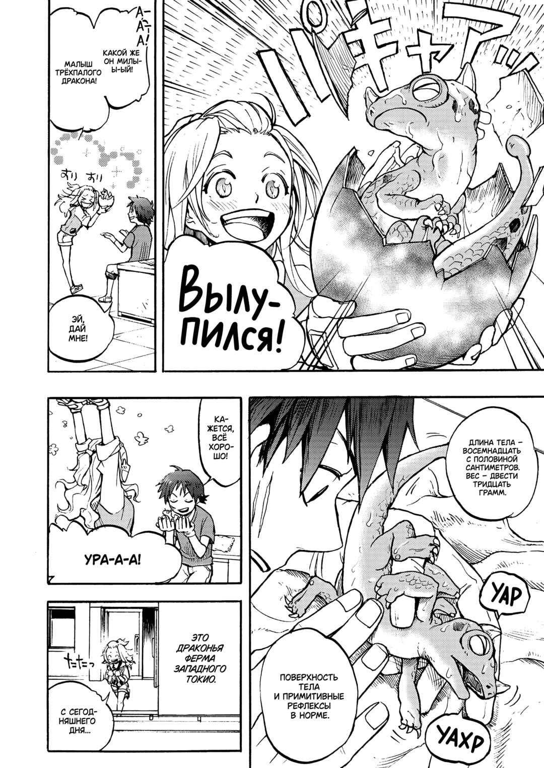 Dragon Farm Nishitokyo Chapter ? - Page 3