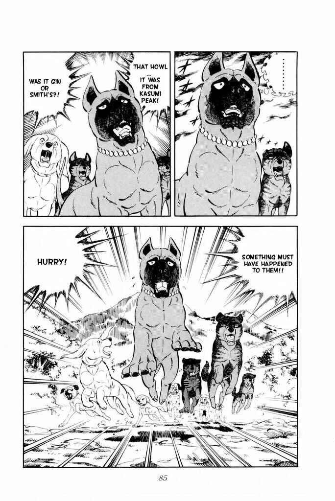 Silver Fang – The Shooting Star Gin – Chapter 15 - Page 41
