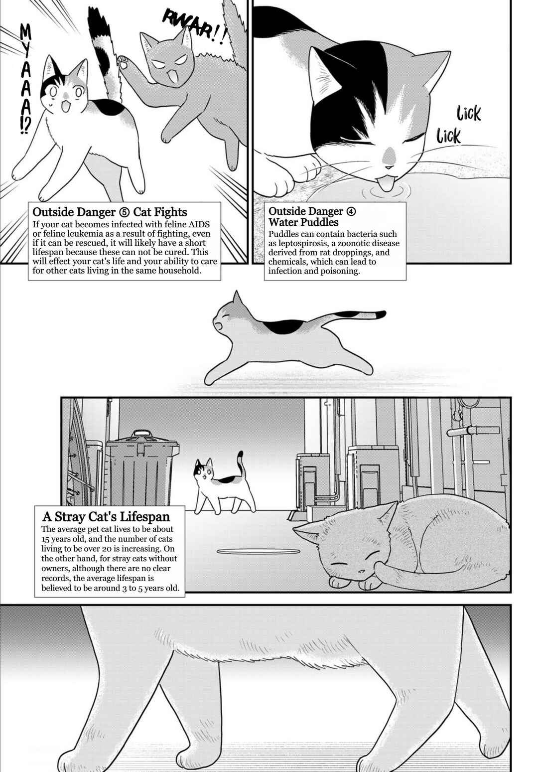 Hataraku Saibou Neko Chapter 22 - Page 7