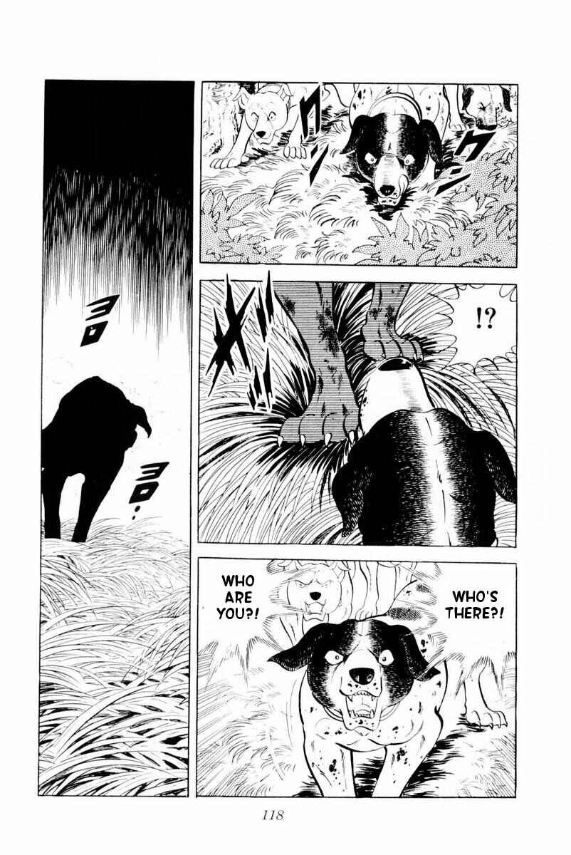 Silver Fang – The Shooting Star Gin – Chapter 27 - Page 18