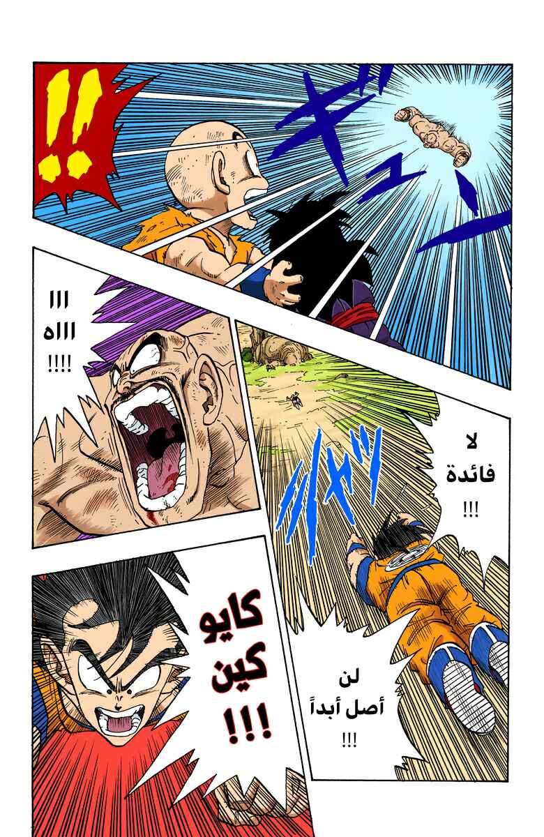 Dragon Ball (Official Colored) Chapter 226 - Page 11