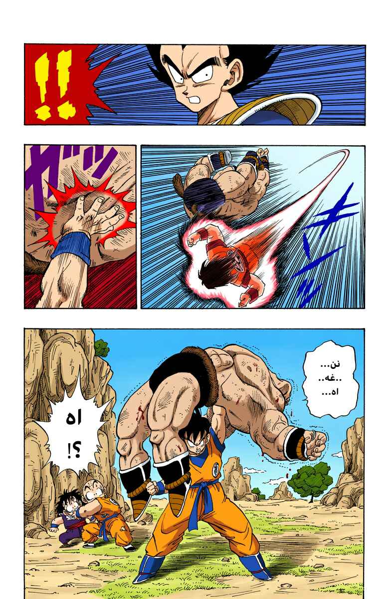 Dragon Ball (Official Colored) Chapter 226 - Page 13
