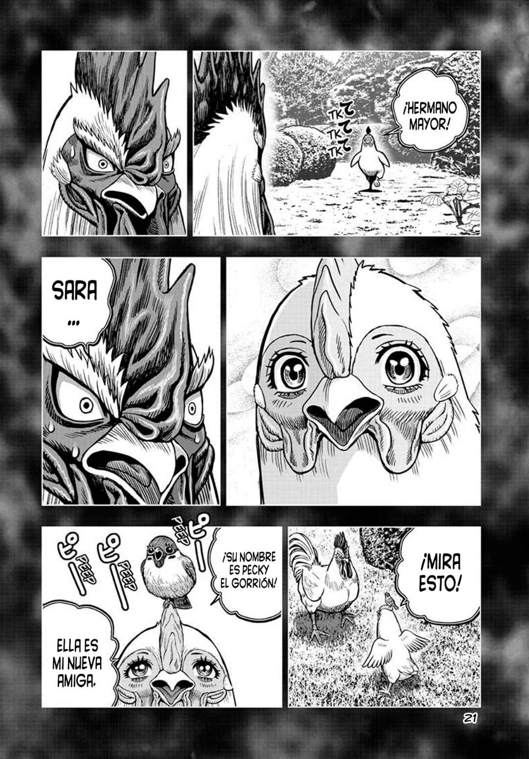 Niwatori Fighter Chapter 56 - Page 25