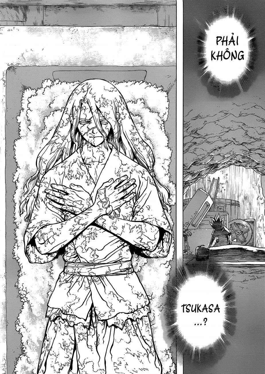 Dr.STONE Chapter 83 - Page 19