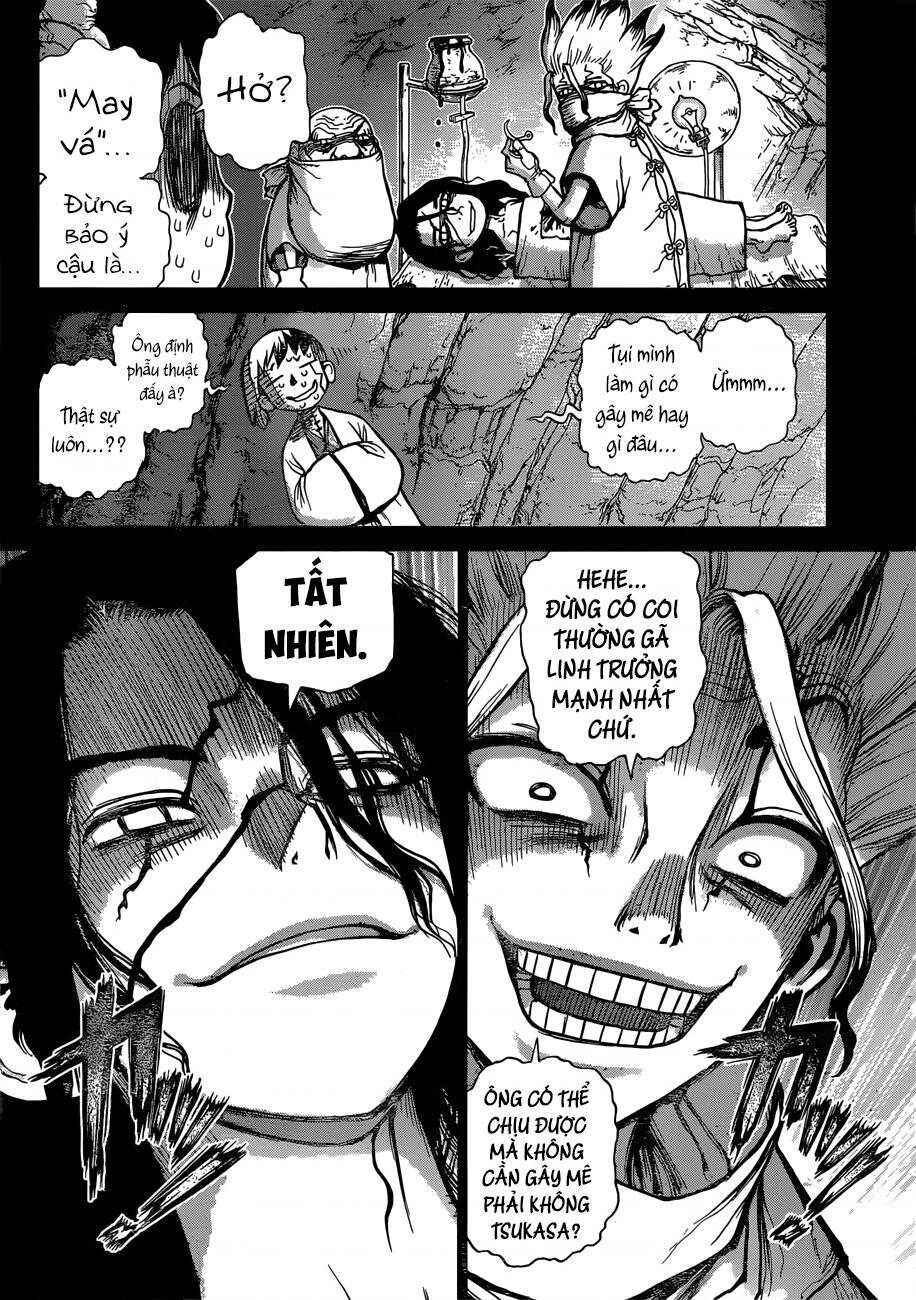Dr.STONE Chapter 83 - Page 5