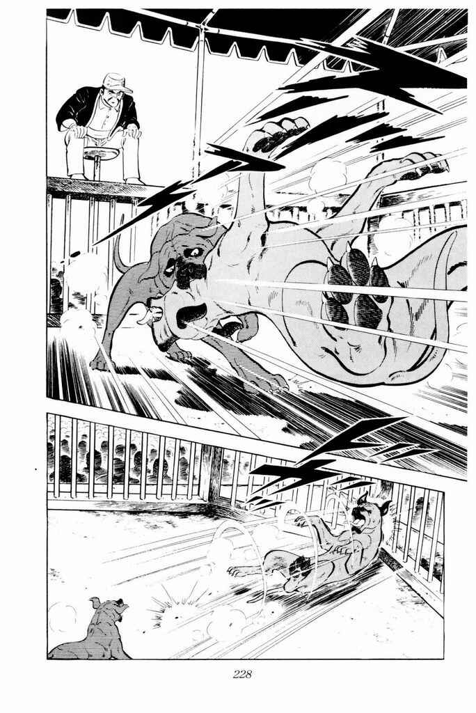 Silver Fang – The Shooting Star Gin – Chapter 24 - Page 25