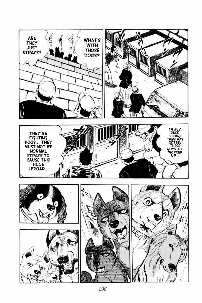 Silver Fang – The Shooting Star Gin – Chapter 24 - Page 33