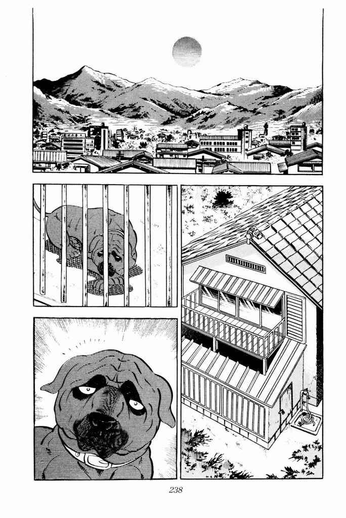Silver Fang – The Shooting Star Gin – Chapter 24 - Page 35