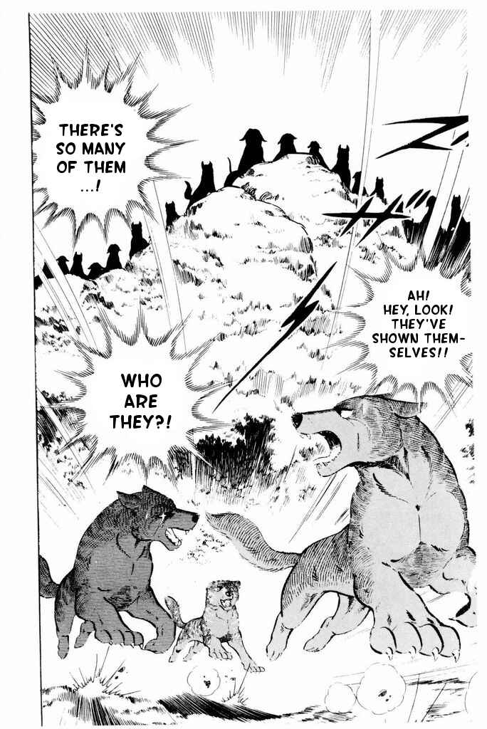 Silver Fang – The Shooting Star Gin – Chapter 24 - Page 49