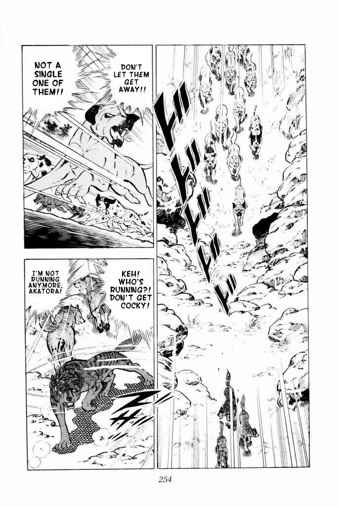 Silver Fang – The Shooting Star Gin – Chapter 24 - Page 51