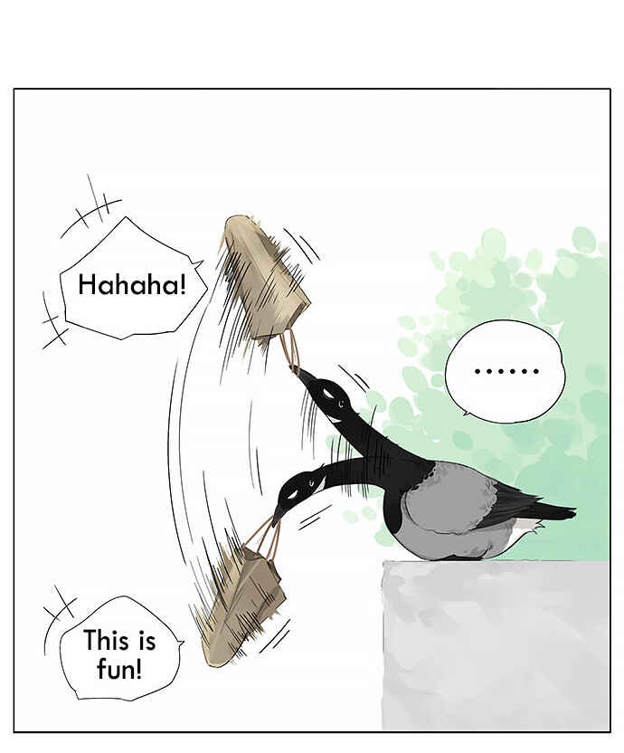 Southern Bird and Northern Bird Chapter 13 - Page 9