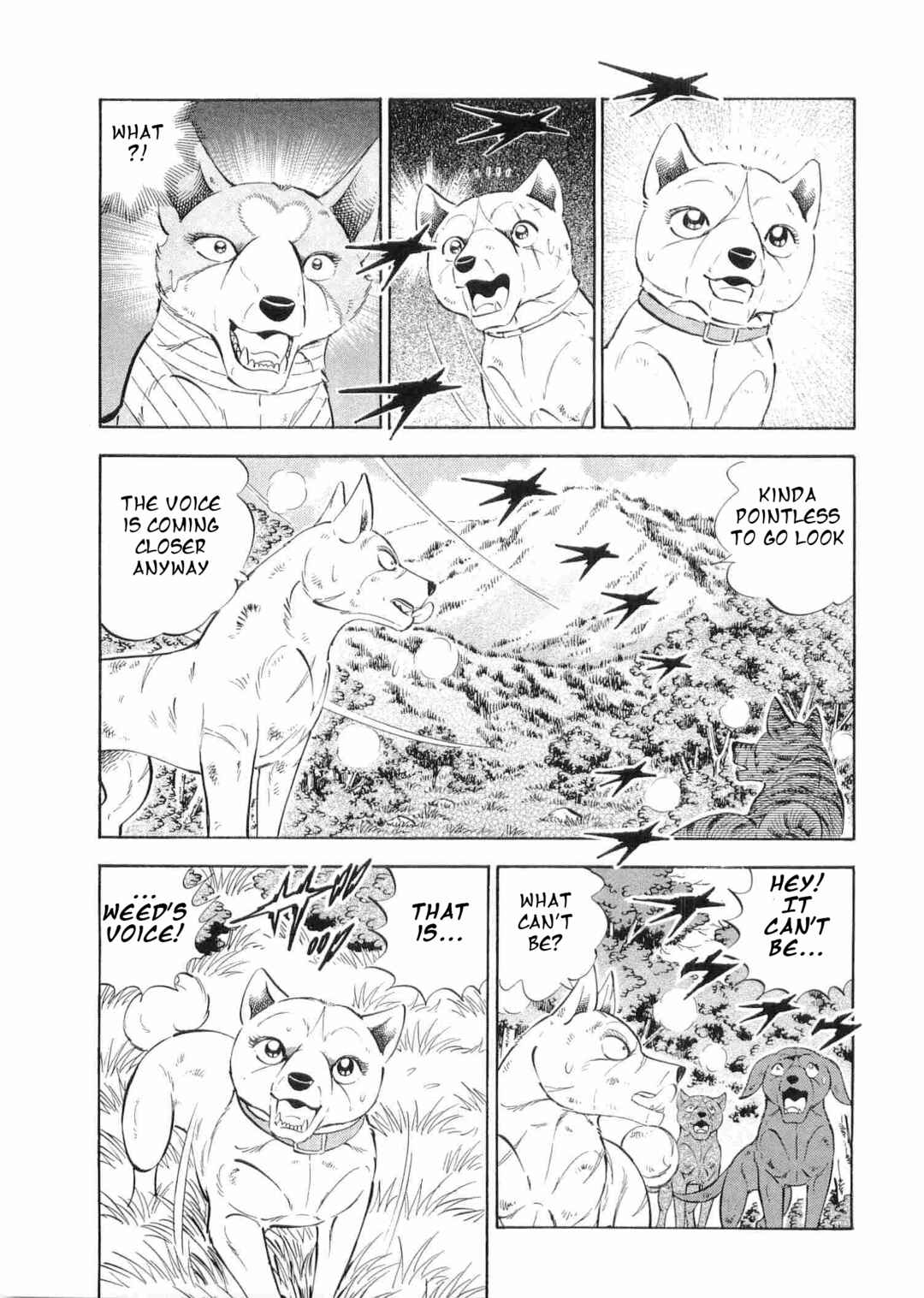 Ginga Densetsu Weed Chapter 497 - Page 16