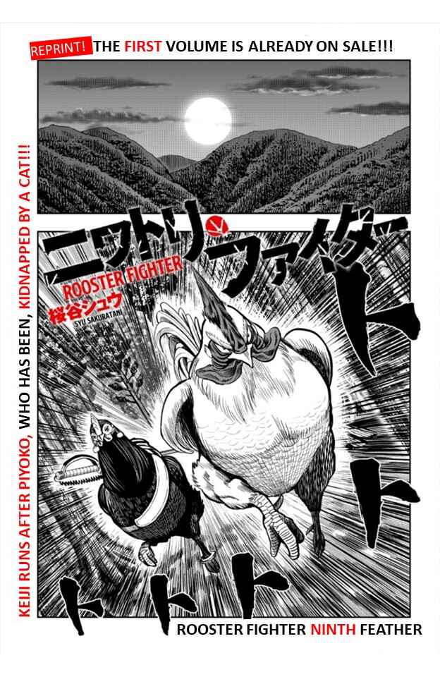 Niwatori Fighter Chapter 9 - Page 1