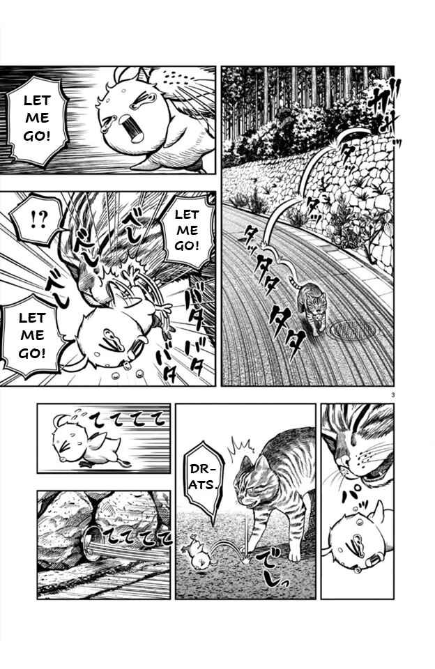 Niwatori Fighter Chapter 9 - Page 3
