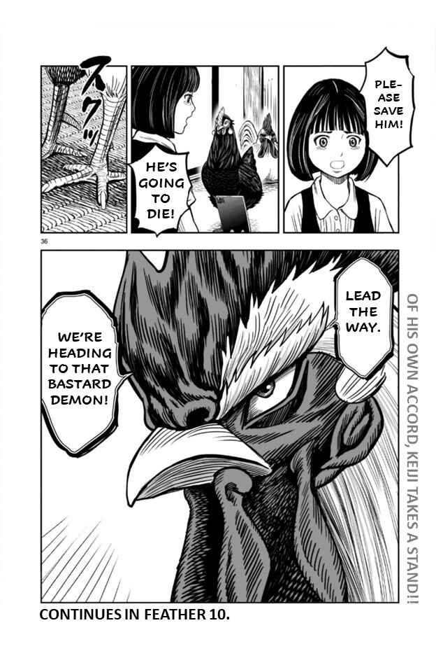 Niwatori Fighter Chapter 9 - Page 36